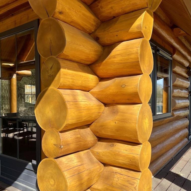 Unieke Houten Villa Met Sauna In Twente - 5P Den Ham Exterior photo